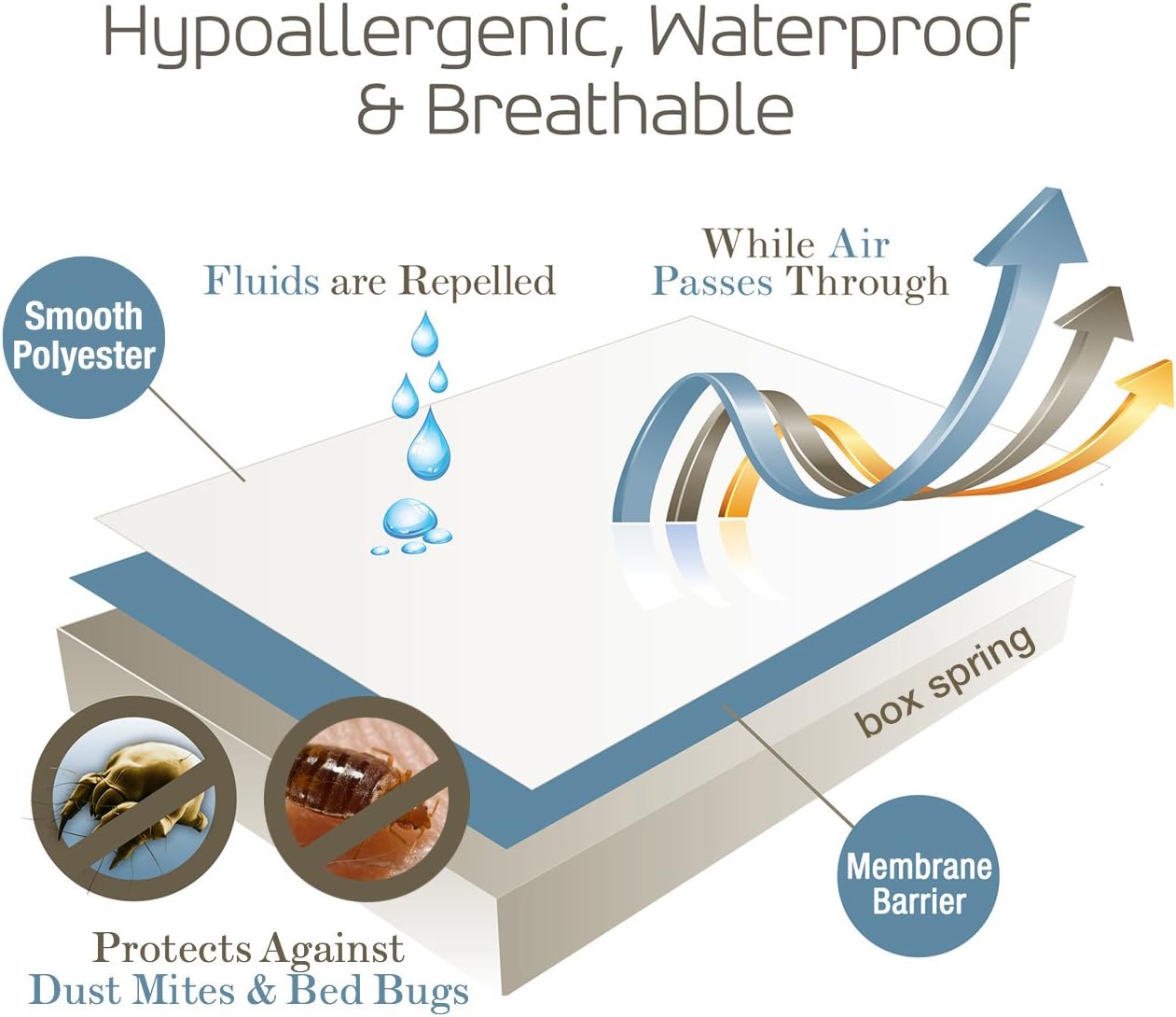 Box Spring Encasement