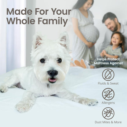 Everyday Value Mattress Protector